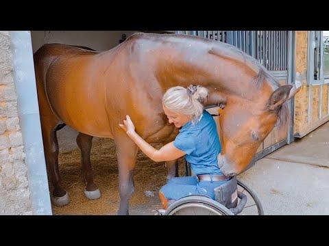 Playful Horses & Their Humans! #Video