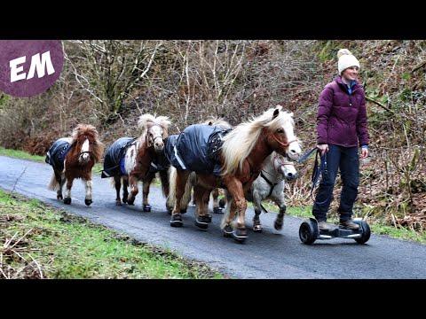 Hoverboarding with my Mini Pony Team Video