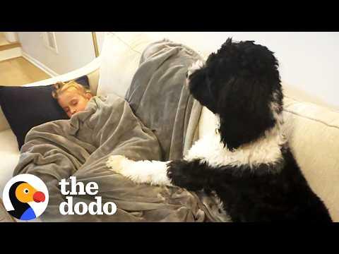 This Dog Doesn’t Just Keep Her Safe, He's Her Best Friend #Video