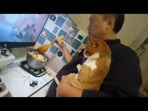 I have a best friend called Cat - Cat and Human Moments #Video