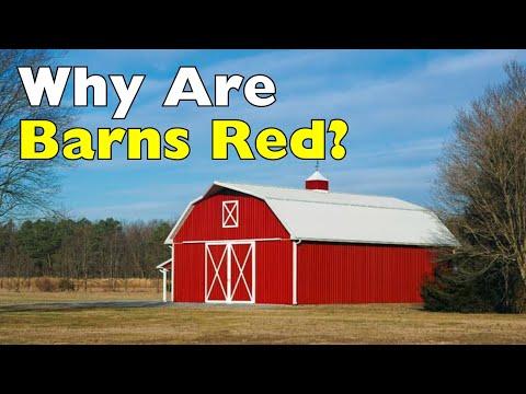 Why Are Barns Red? #Video