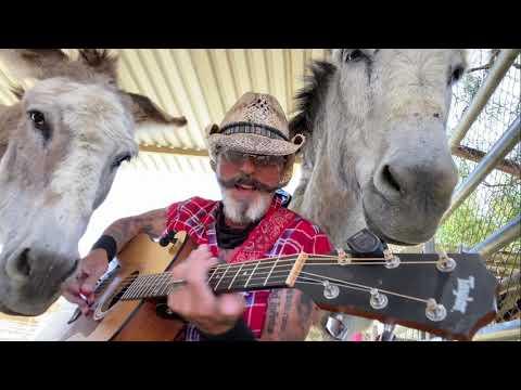 Two Donkeys Hazel & Lilly Want to Hear George Thorogood Move It On Over. Hazel Like up tempo Blues #