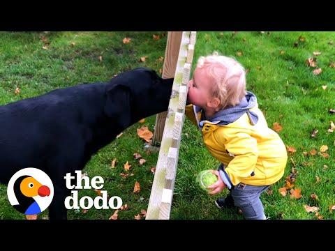 When You Grow Up With Your Best Friend #Video