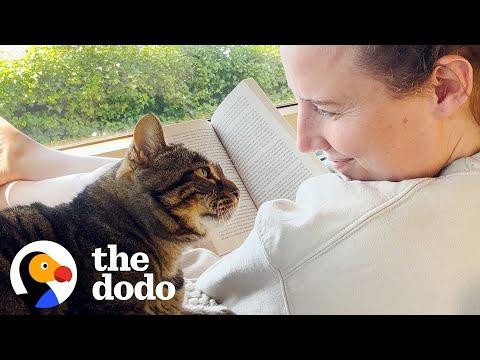 Senior Rescue Cat Demands The Full Baby Treatment #Video