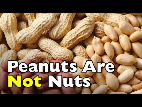 Peanuts Aren’t Actually Nuts! #Video