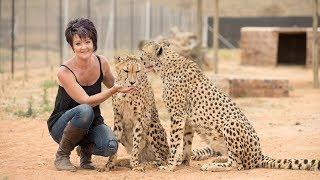Petite Woman Is Best Friends With Big Cats | BEAST BUDDIES