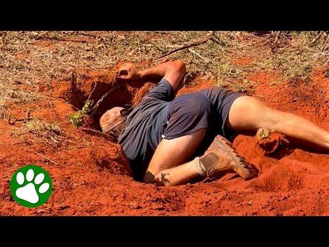 Hero farmer hears cries for help and jumps into hole in the ground #Video