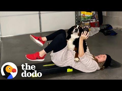 Clingy Dog Won't Let His Mom Get A Workout In #Video