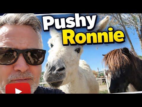 Ronnie Pushing into 2026 #Video