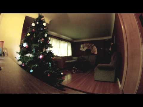 Why You Shouldn't Leave Your Dog Alone With The Christmas Tree