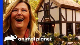 Step by Step: Shakespeare's Globe Theatre In The Trees! | Treehouse Masters