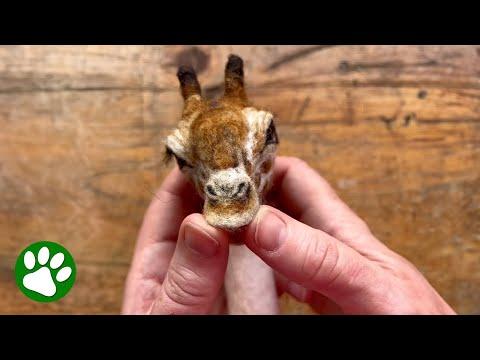 Woman Sculpts Super Realistic Animals With Wool #Video