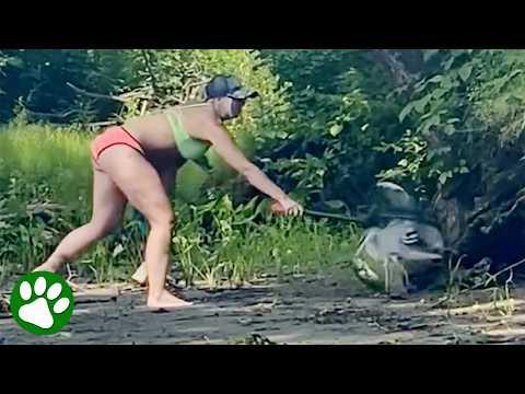 Woman Saves Heron Struggling With Fish Stuck in His Beak #Video
