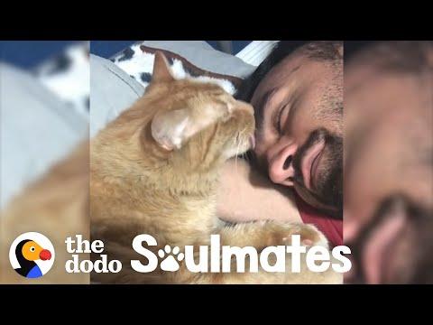Javier And His Super Loyal Cat Have An Awesome Betime Routine Video.