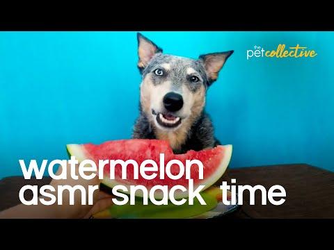 Watermelon Snack Time Video