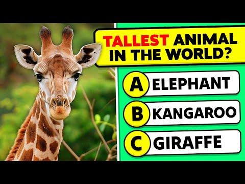 Animals Knowledge Trivia Questions and Answers #Video