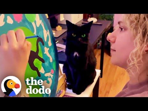 Artist Realizes Her Biggest Inspiration Is Her Cat #video