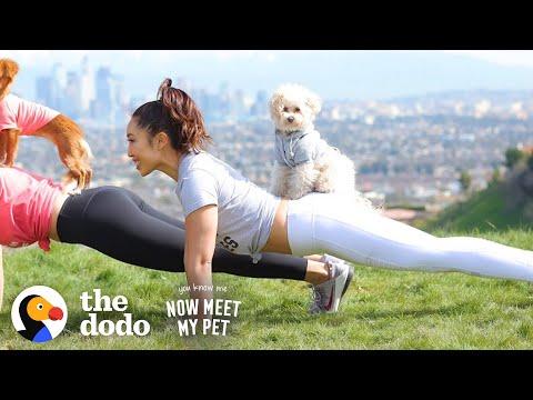 How To Workout With Your Dog Video