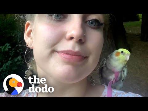 Woman Does Yoga With Her Birds #Video