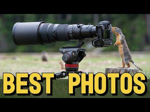 BEST PHOTOGRAPHS this YEAR - PRO tips, camera gear review, Z9 settings and 2023 highlights #Video