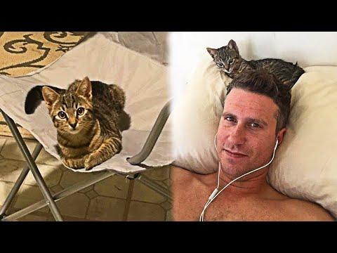 Stray Kitten Sneaks Into the House to Adopt a Man Who Lives There #Video
