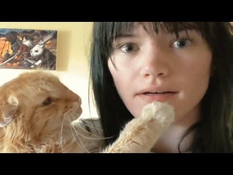 Shy rescue cat loves only one human #Video