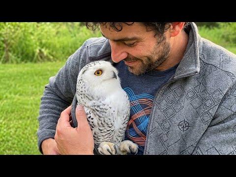 When Birds Become the Best Part of Your Day #Video
