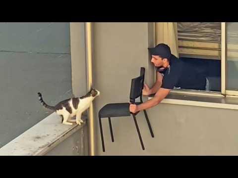 Cat Claims You As His 'Chosen One' #Video