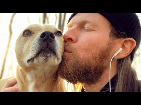 Man's Bond With His Senior Deaf Dog Is Unlike Any Other #Video