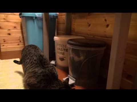 Trash Box And Maru The Cat 3