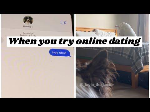 When you try online dating - Layla The Boxer #Video