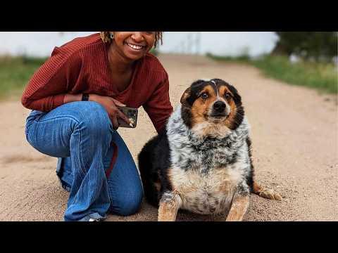 Watch Buddy Go from Hopeless to Hero! #Video