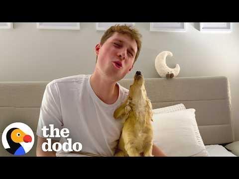 Dog Who Was Scared Of Mom’s Boyfriend Is Now A Total Daddy’s Girl #Video