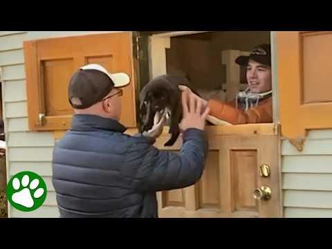 He Wasn’t Ready for This Holiday Surprise #Video