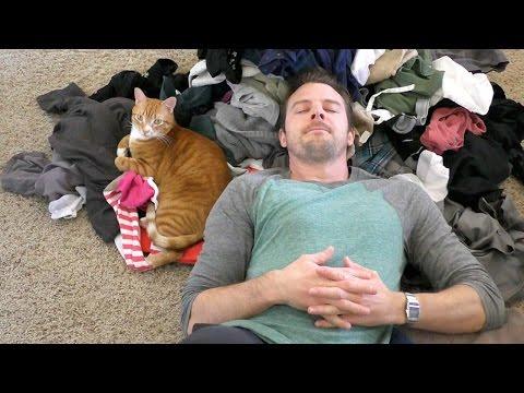 Cole And Marmalade | Cat People Will Understand...