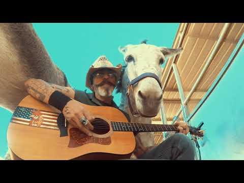 Talking Donkey named Hazel has a lot to say about her song