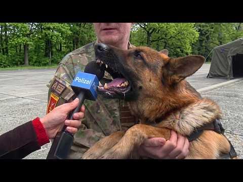 Police Dog Decides It’s Time to Clock Out! #Video