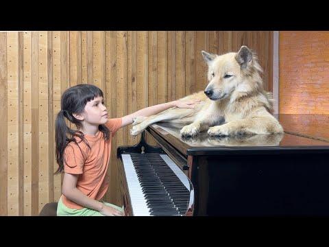 'Moon River' on Piano for Sharky the Dog #Video