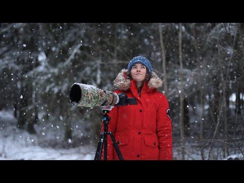 Life in -20°C Northern Sweden #Video