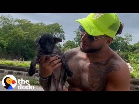 Couple On Vacation In Bali Finds A Stray Puppy #Video