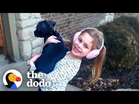 Little Dog Gets Adopted By A Girl Who Has The Same 'Paw'