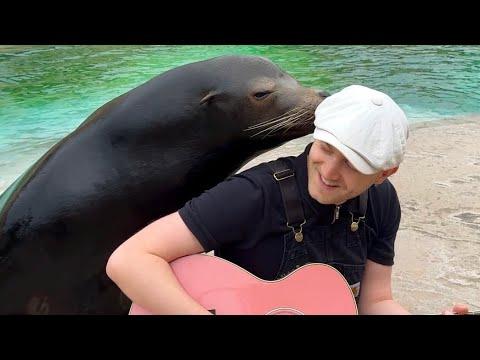 Singing for Animals Compilation #Video