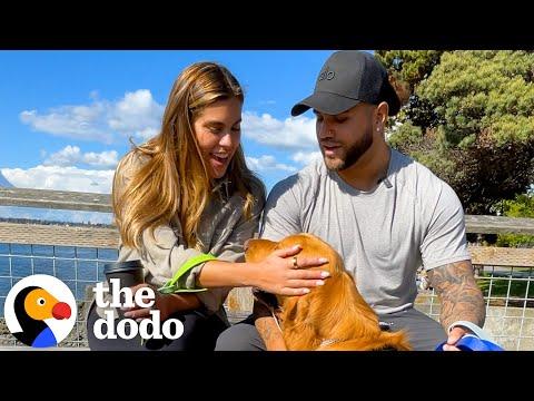 Dog-Rescuing Couple Takes Their Dogs On The Best Day Ever #Video