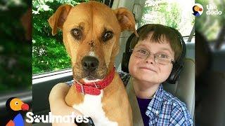 Boy And Rescue Dog Have The Most Remarkable Bond - XENA THE WARRIOR PUP | The Dodo Soulmates