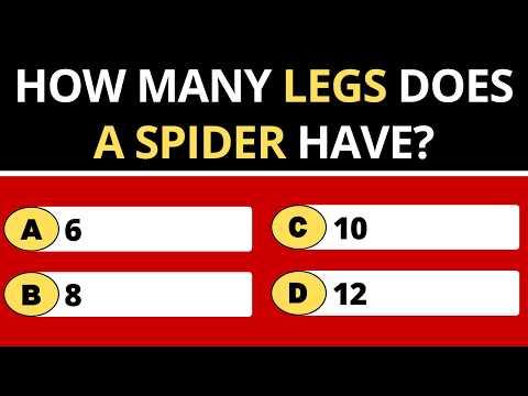 Only 1% Can Score 30/30 On This General Knowledge Quiz!