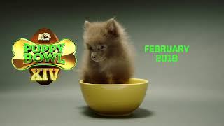Puppy Bowl XIV | Coming February 2018