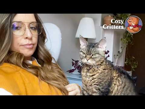 No One Could Touch Her—Until She Approached Them Herself