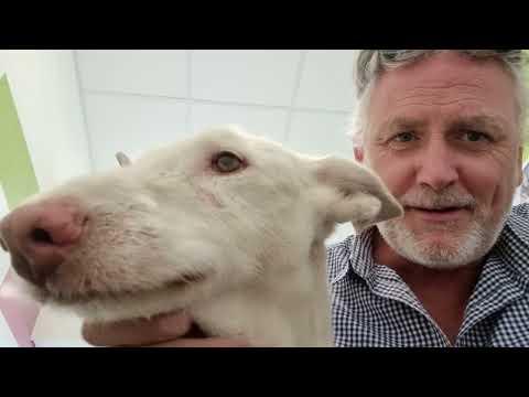 Story time at the vets. Jacobs Ridge Animal Sanctuary #Video