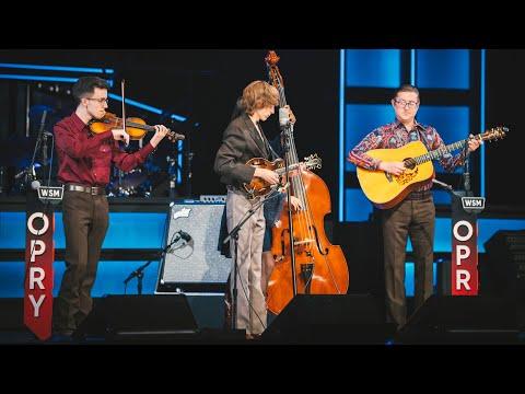 Wyatt Ellis - My Last Days on Earth #Video