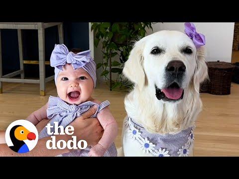 Dog Can't Wait To Meet Her Baby Sister #Video